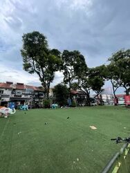 Little India Conservation Area (D8), Shop House #576268951
